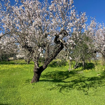 Casa Tranquila Barrada Villa Alcoutim Dış mekan fotoğraf