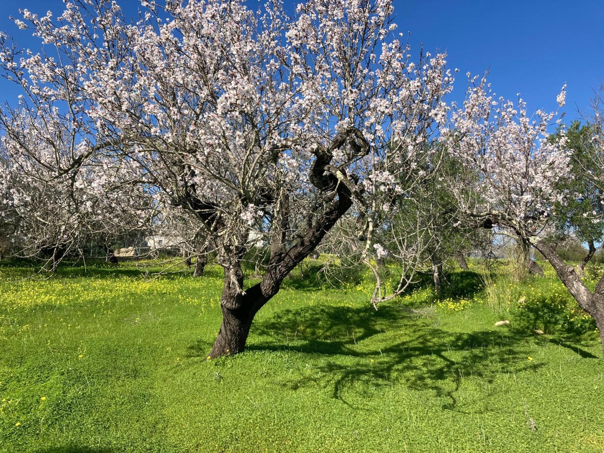 Casa Tranquila Barrada Villa Alcoutim Dış mekan fotoğraf